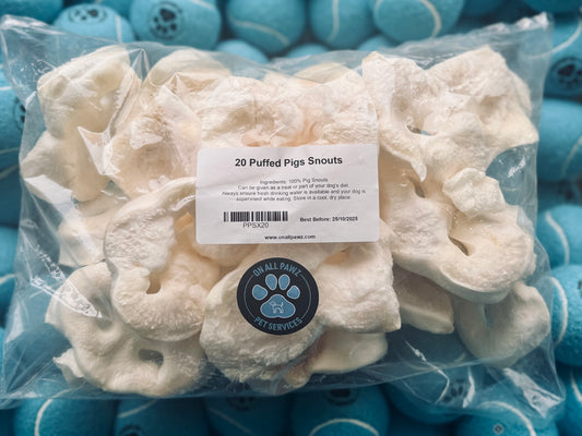 Packaged puffed pig snouts as dog treats