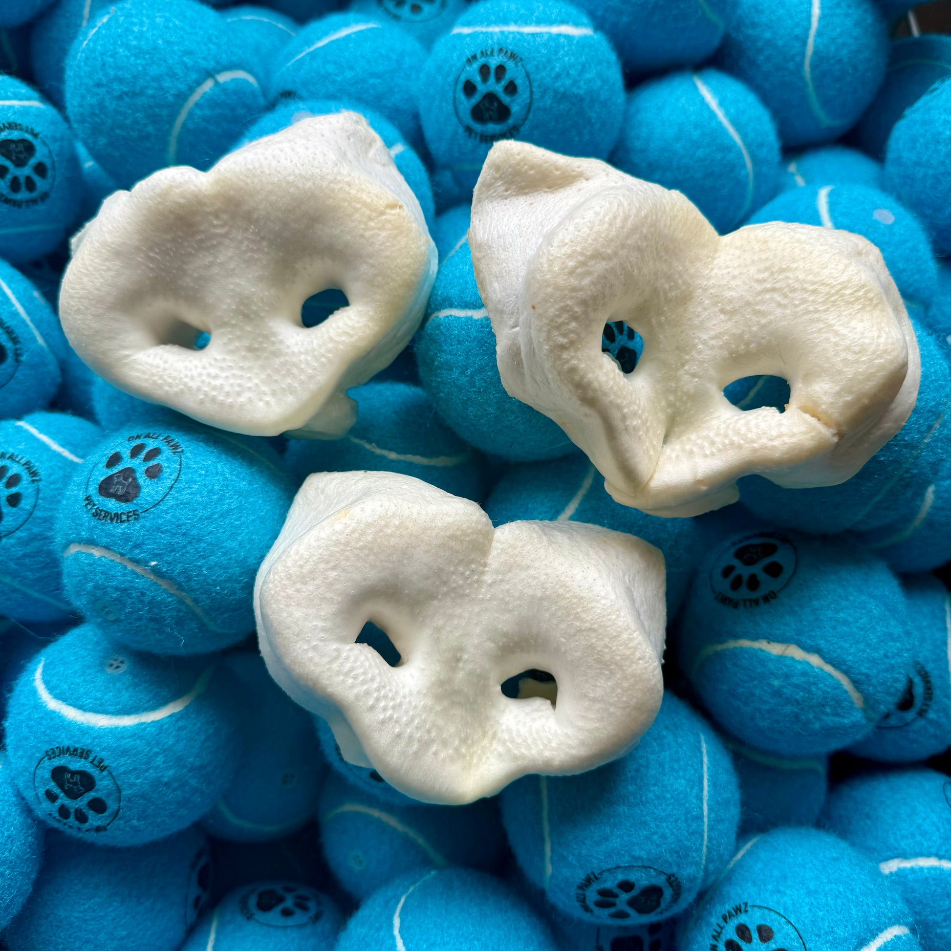 Blue tennis balls with paw prints and white dog treats on top