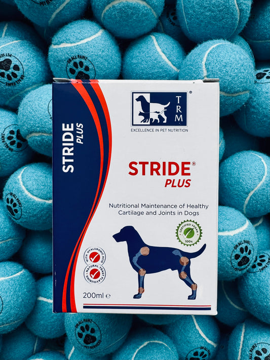 Box of Stride Plus supplement for dogs surrounded by blue tennis balls