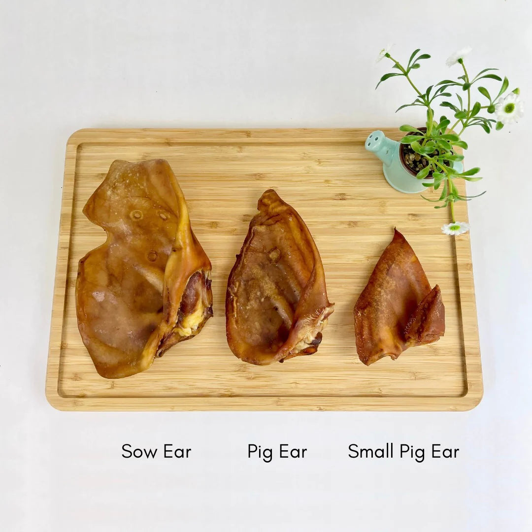 Large Pig Ears 5pk