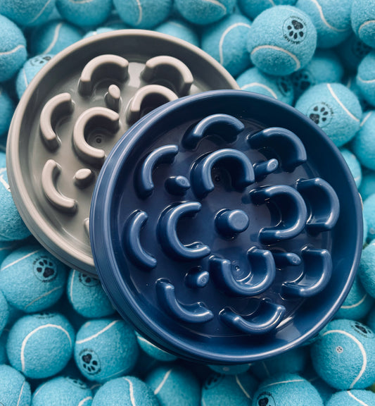 A top and bottom view of a gray plastic slow feeder dog bowl designed with medallion patterns to encourage slower eating.