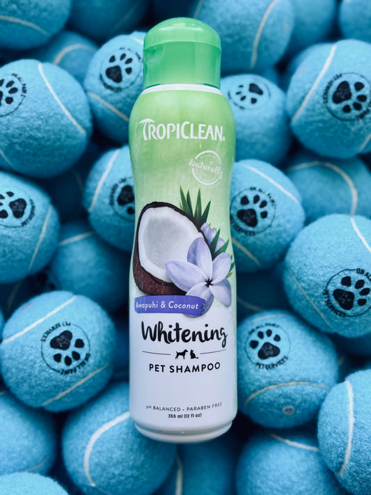 A bottle of Tropiclean Awapuhi & Coconut Whitening Shampoo for pets, placed against a background of blue tennis balls.