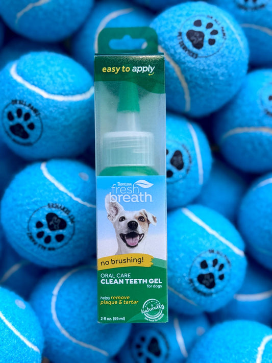 Dog tooth care product packaging with blue tennis balls in the background