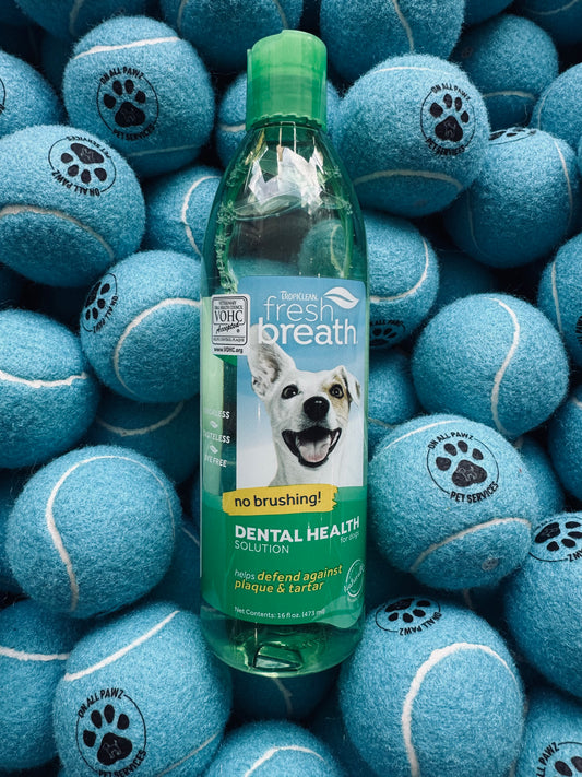 Bottle of fresh breath dental health solution surrounded by blue tennis balls with paw prints.