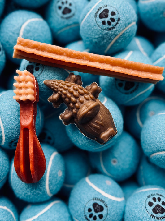 A variety of Whimzees dental chews for dogs, including bone-shaped and other fun shapes like a brush and a squirrel, displayed on a background of blue chew toys.